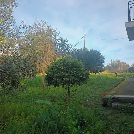 Panagis Argostoli (Kefalonia)