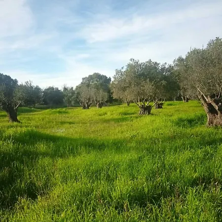 Lejlighed Panagis *
